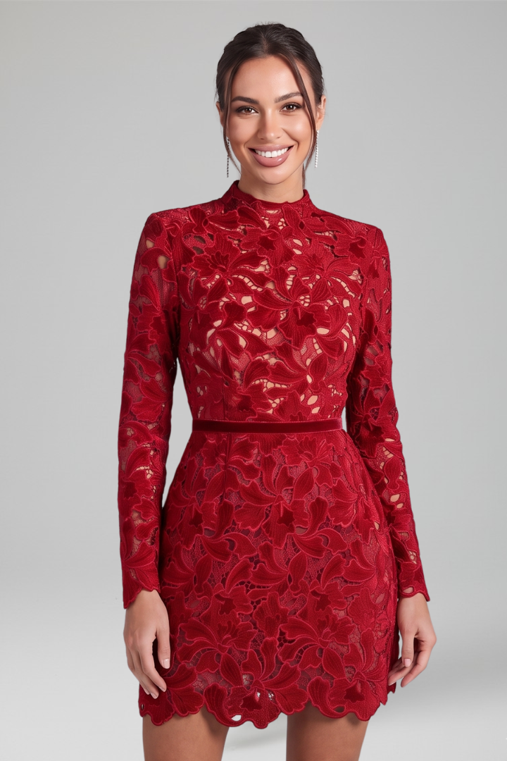 Women's chic mini dress with Long Sleeves for Everyday Wear